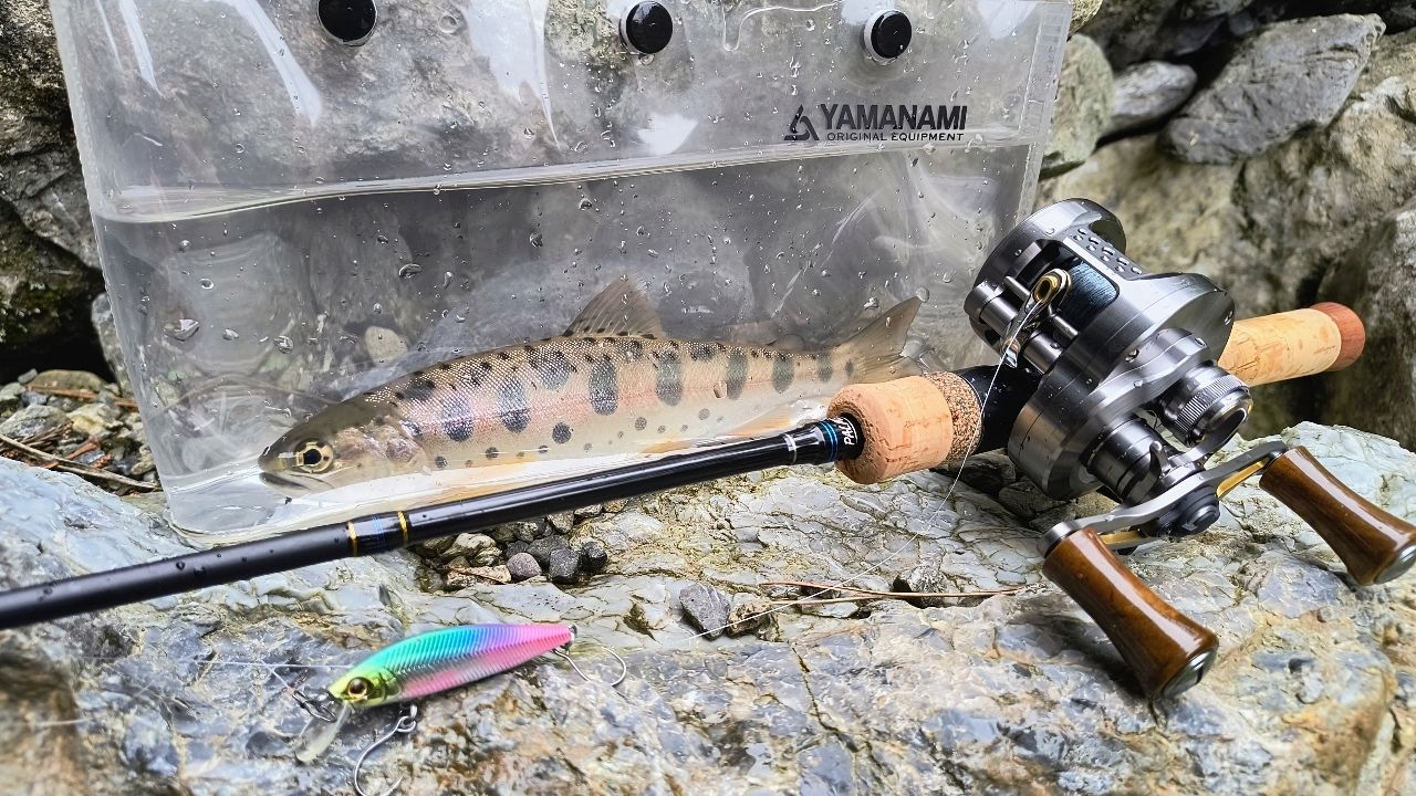 SHIMANO 23カルカッタコンクエスト BFS XG LEFTの最安値・インプレ