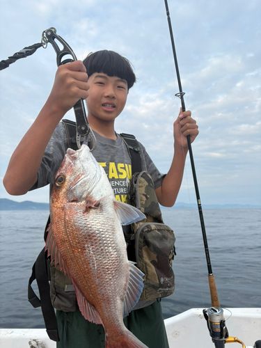 マダイの釣果
