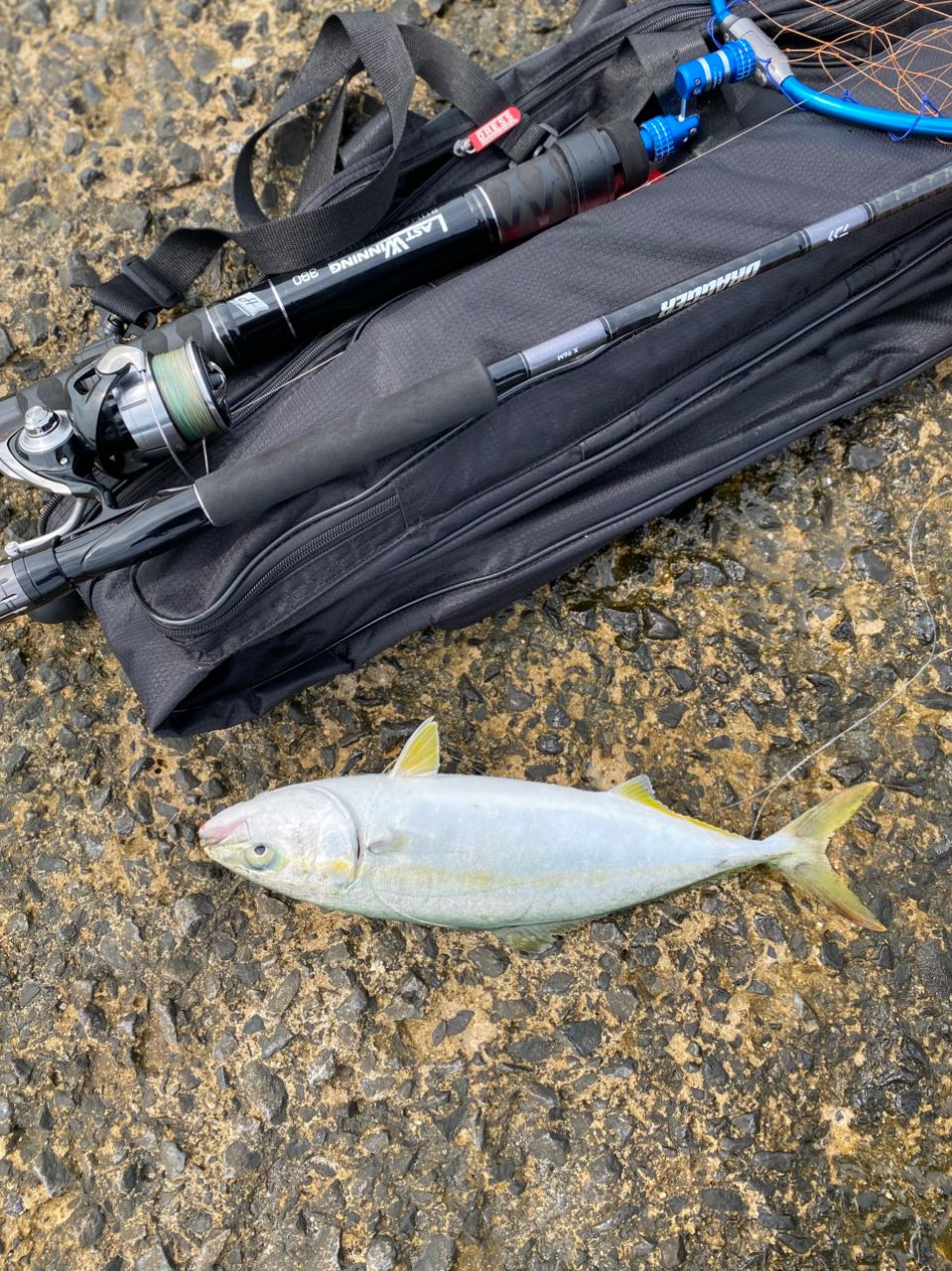 DAIWA 23ドラッガー X 96Mの最安値・インプレ・釣果 | 本音の口コミが