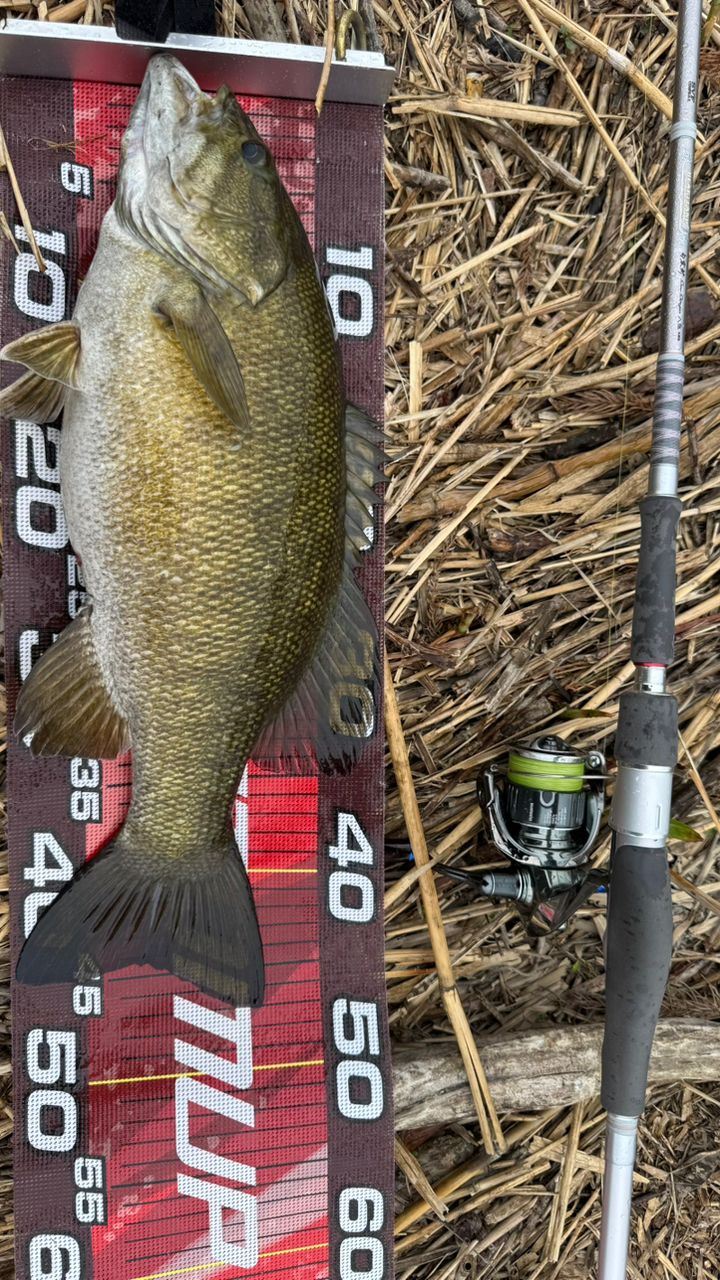 DAIWA 22ハートランド AGS 852ML+FS-SV AGS22の最安値・インプレ・釣果
