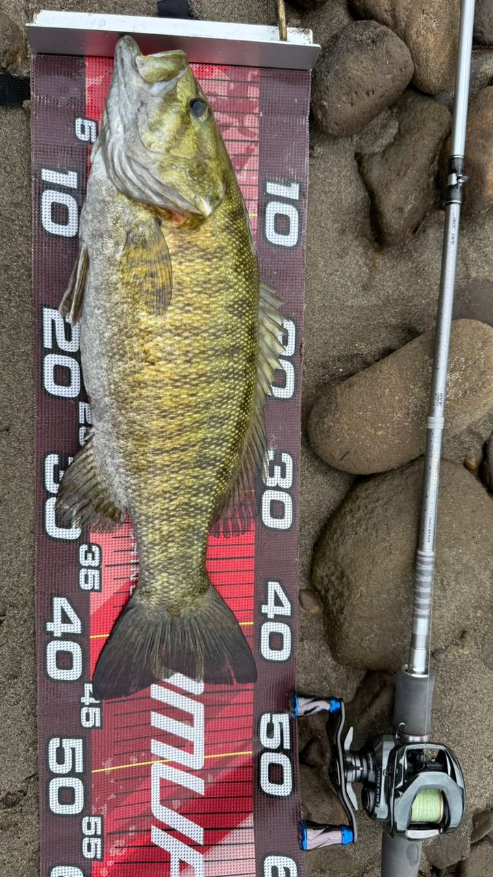 DAIWA 14ハートランド AGS 832MSB-SV AGS21の最安値・インプレ・釣果