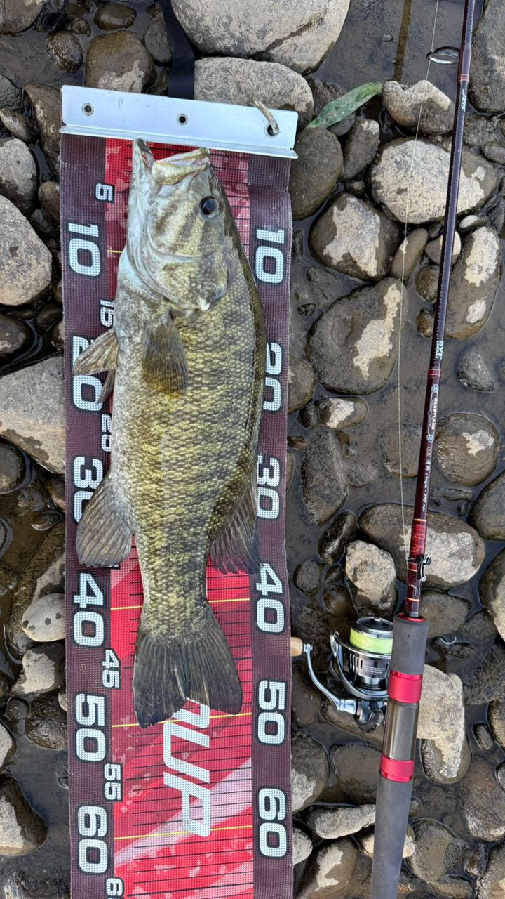 DAIWA 13ハートランド AGS 7102L+FS-SV AGS18の最安値・インプレ・釣果