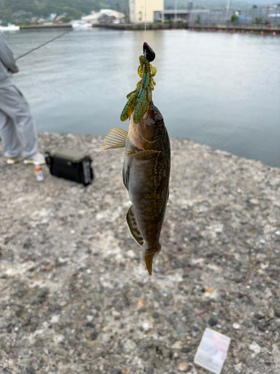 DAIWA 22HRF® (ハードロックフィッシュ) 86M・Qの最安値・インプレ