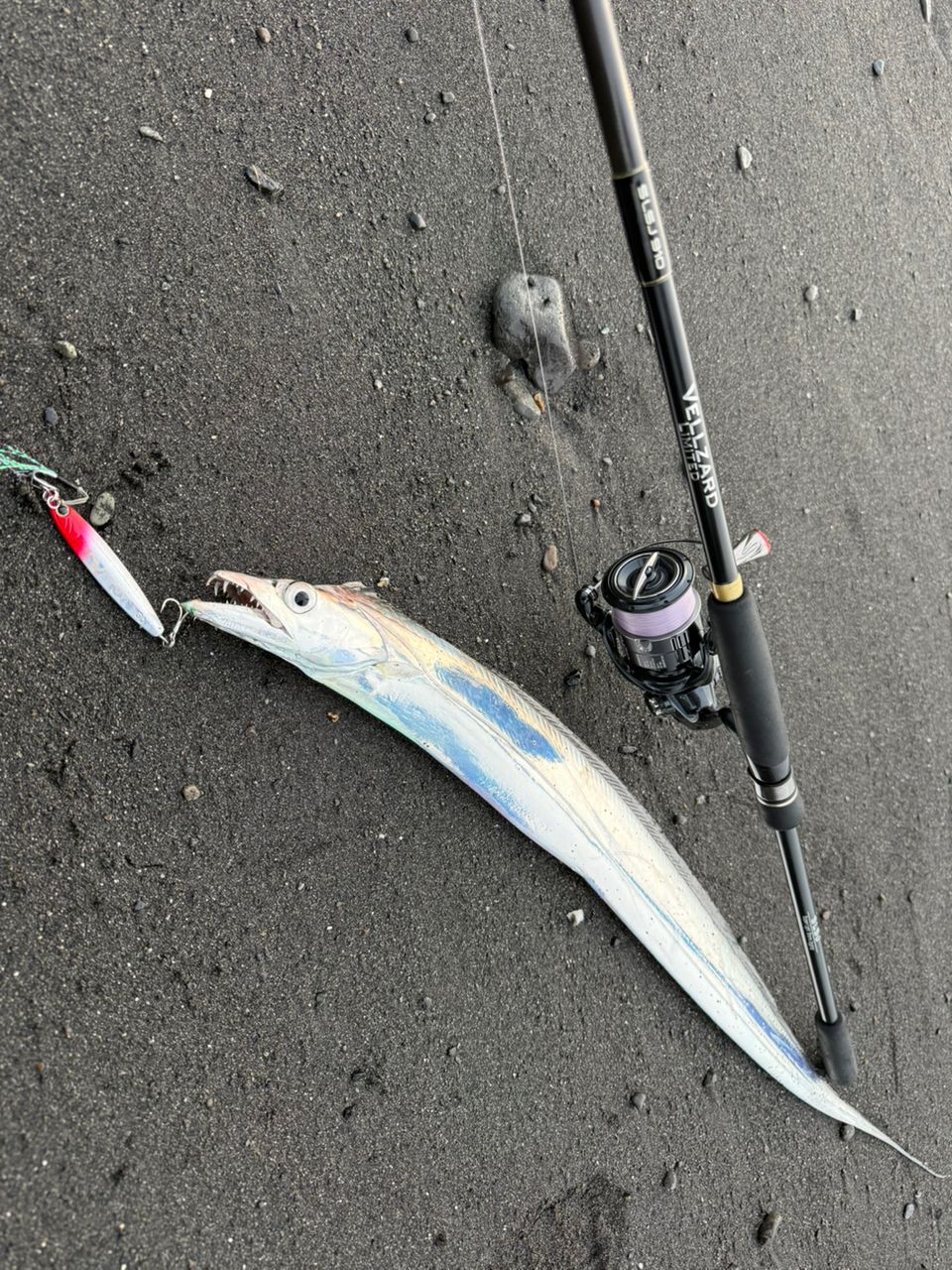 SHIMANO 19ヴァンキッシュ 4000XGの最安値・インプレ・釣果 | 本音の