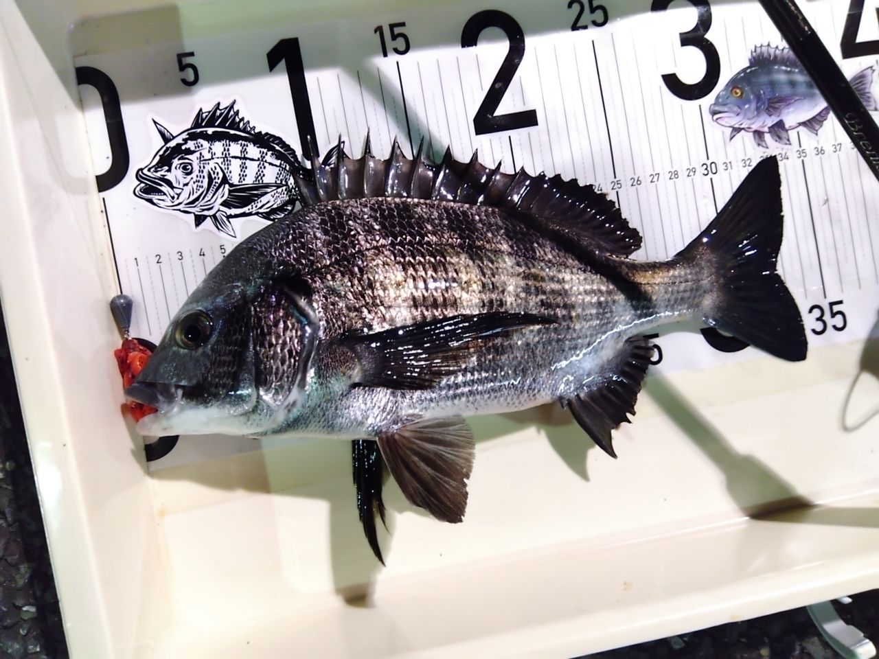 SHIMANO 22ブレニアス エクスチューン S76Mの最安値・インプレ・釣果