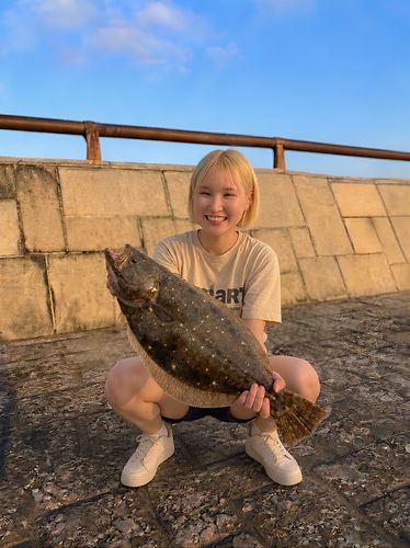 ヒラメの釣果