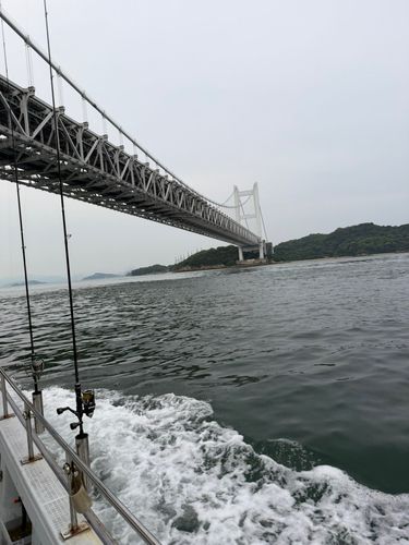 タイの釣果