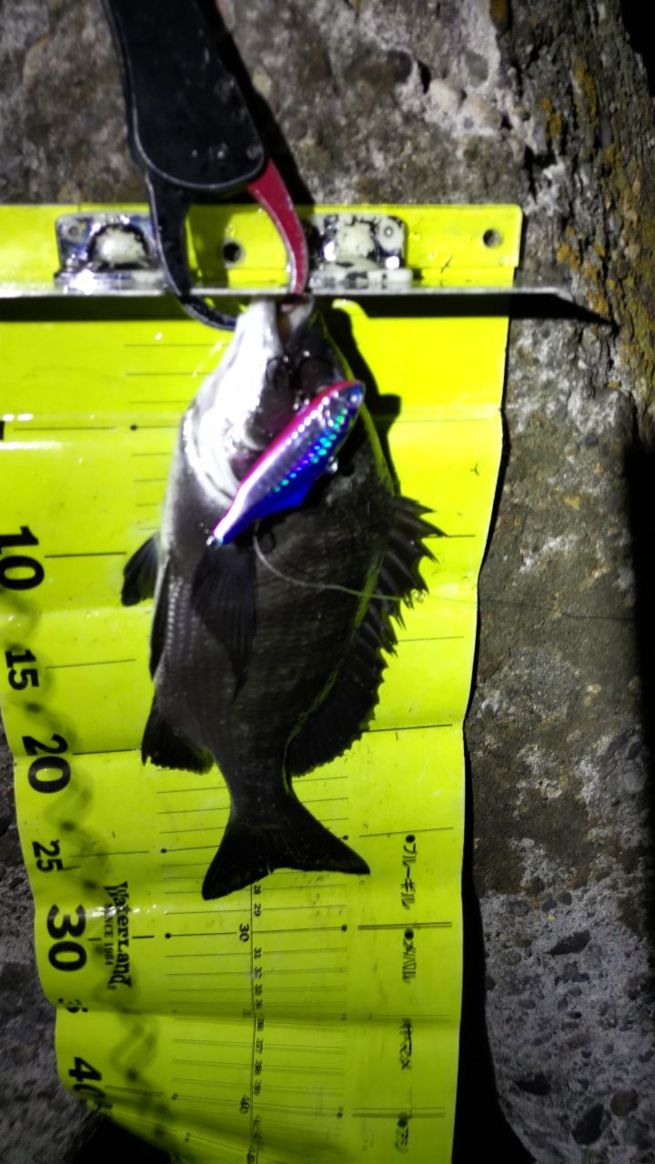 SHIMANO 18ワールドシャウラ 2832RS-2の最安値・インプレ・釣果 | 本音