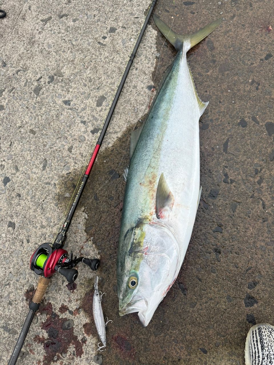AbuGarcia エラディケーター ロックスイーパー ERSC-80EXHの最安値