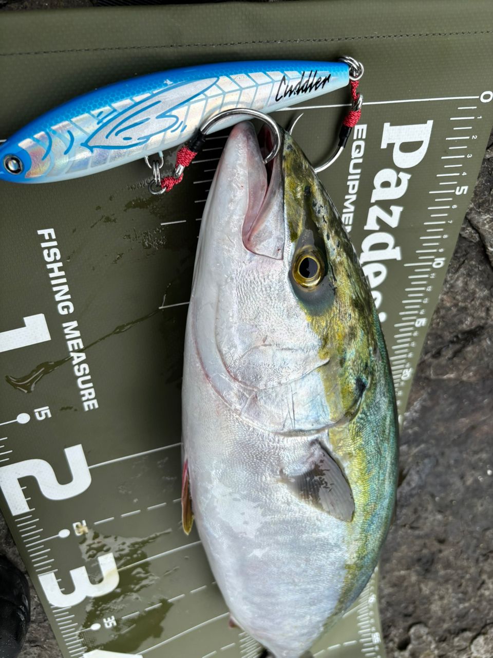 SHIMANO 21ツインパワー SW 6000HGの最安値・インプレ・釣果 | 本音の