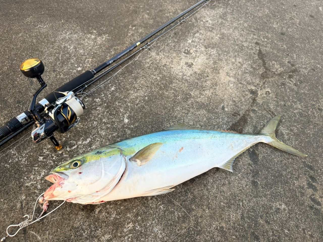 SHIMANO 20コルトスナイパー XR S100MHの最安値・インプレ・釣果