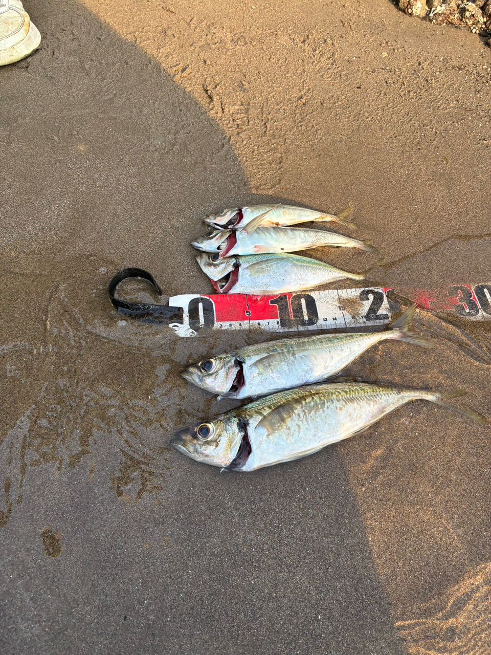 DAIWA 16メバリング X 74UL-Tの最安値・インプレ・釣果 | 本音の口コミ