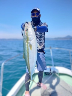 ワラサの釣果