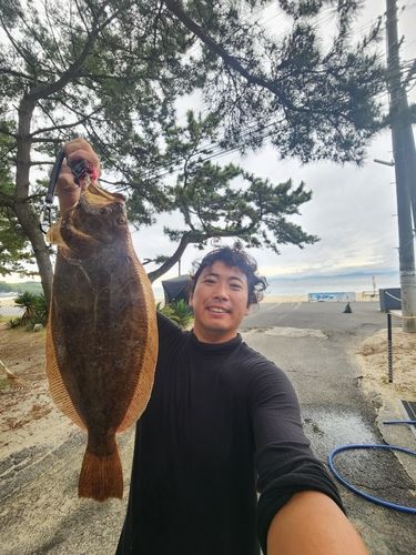 ヒラメの釣果