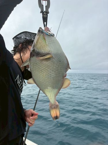 釣果