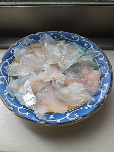 キスの釣果