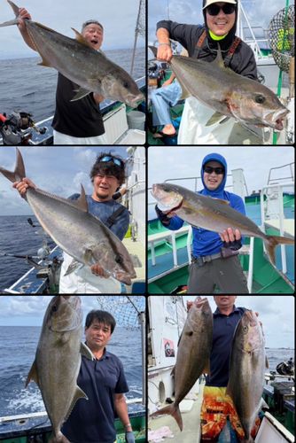 カンパチの釣果