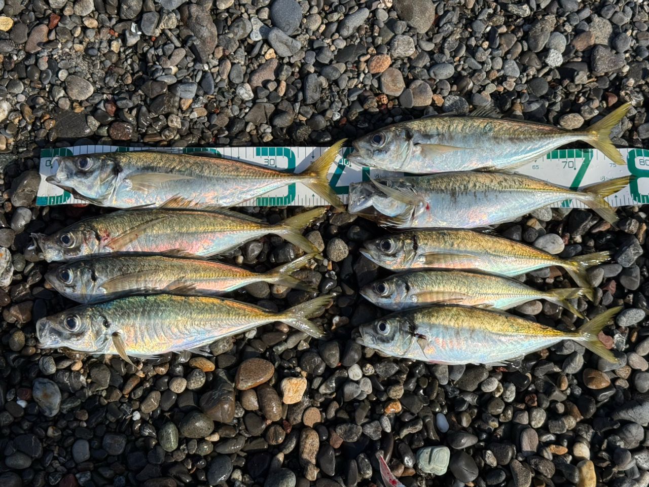 SHIMANO 22コルトスナイパーSS LSJ S100MLの最安値・インプレ・釣果