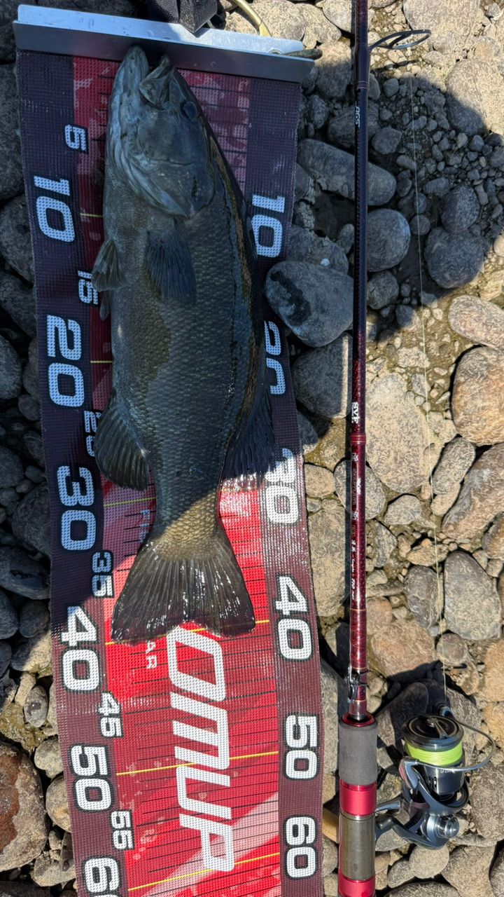 DAIWA 13ハートランド AGS 7102L+FS-SV AGS18の最安値・インプレ・釣果