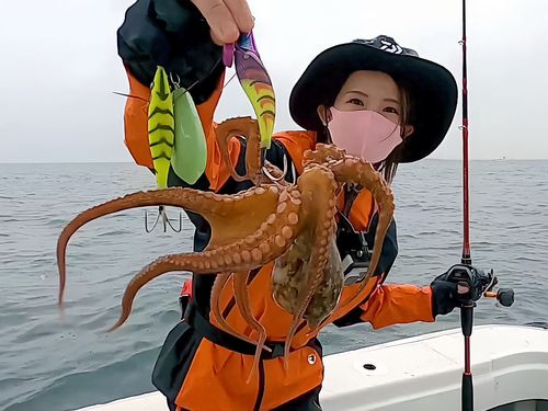 タコの釣果