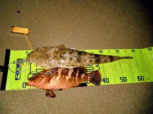釣果