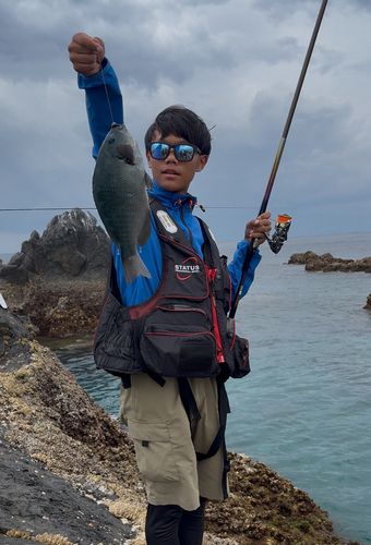 クチブトグレの釣果