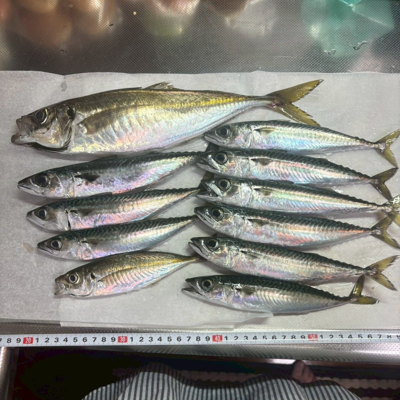 SHIMANO 23ルアーマチック(ソルトルアー推奨モデル) S100MHの最安値 SHIMANO 23ルアーマチック(ソルトルアー推奨モデル) S100MHの最安値