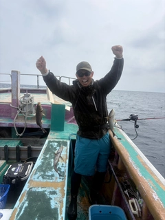 イサキの釣果