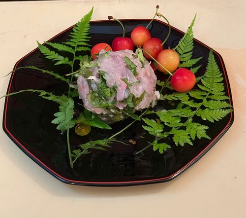 メアジの釣果