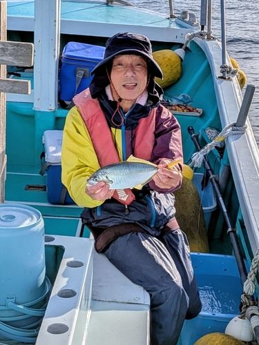 シマアジの釣果