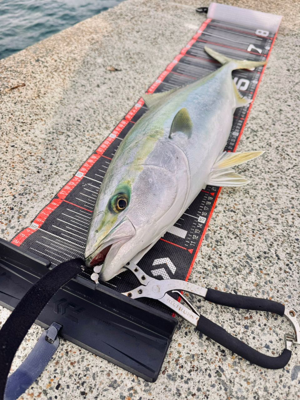 MajorCraft クロスライド 5G XR5-1002Mの最安値・インプレ・釣果