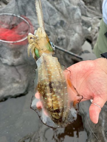 釣果