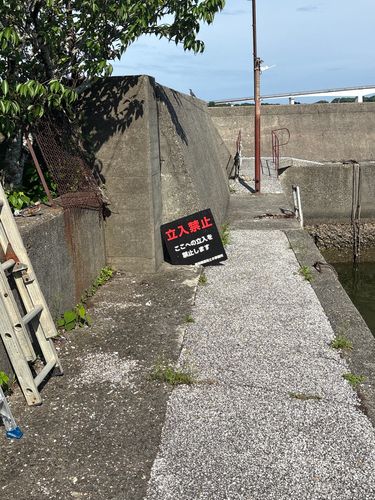 ガシラの釣果