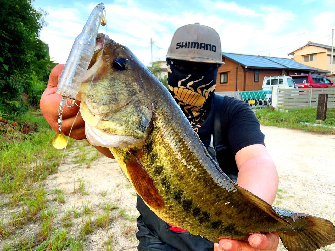 SHIMANO 18ワールドシャウラ 1652R-3の最安値・インプレ・釣果 | 本音