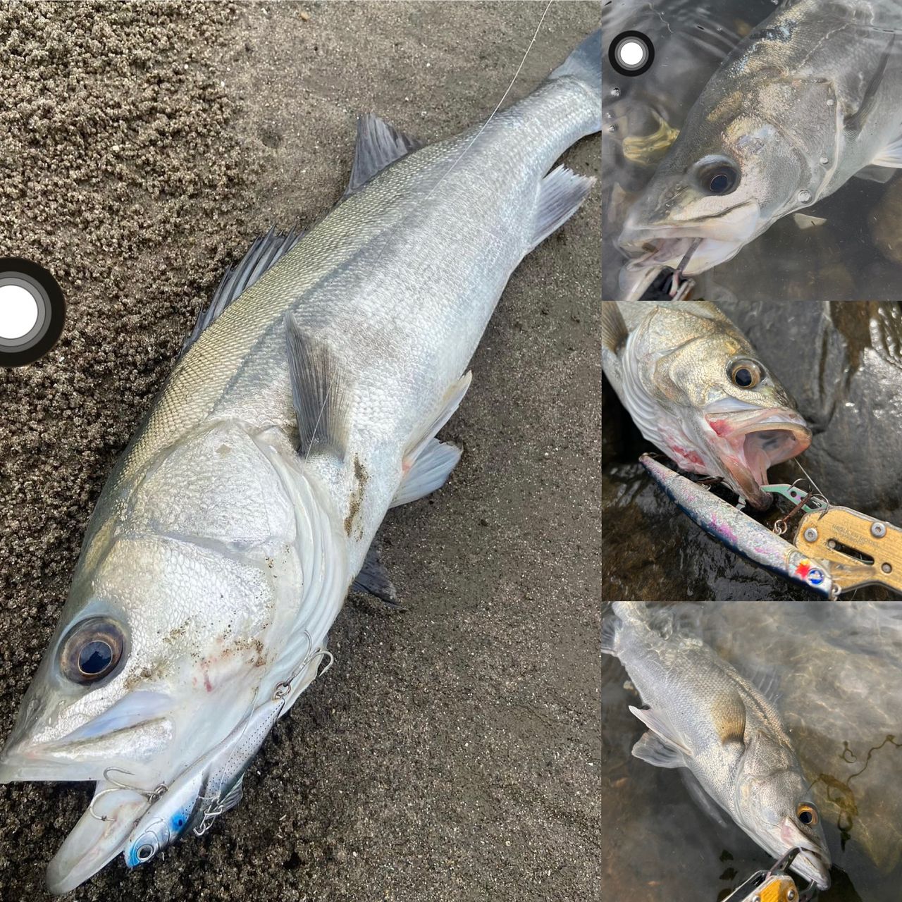 SHIMANO 19ヴァンキッシュ 4000XGの最安値・インプレ・釣果 | 本音の
