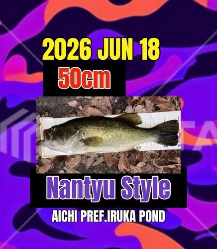 ラージマウスバスの釣果