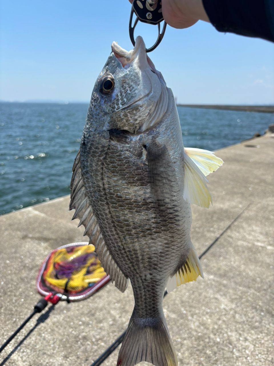 DAIWA 20クロスビート SW 746TULの最安値・インプレ・釣果 | 本音の
