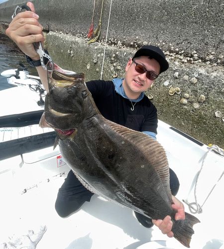 ヒラメの釣果