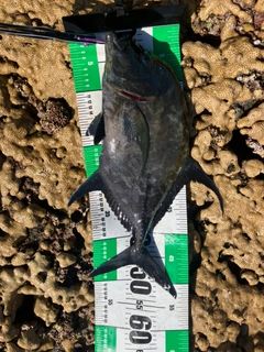 釣果