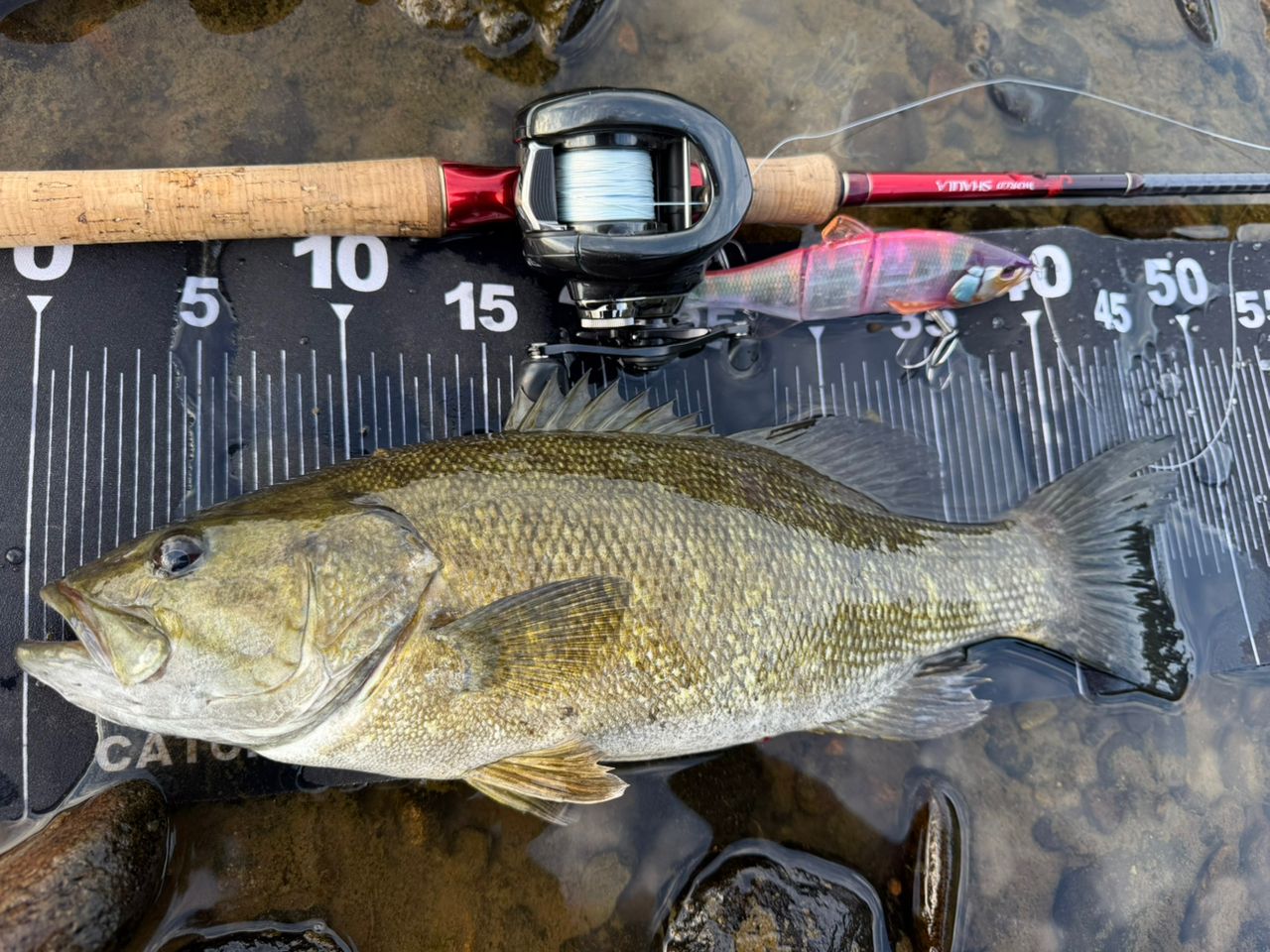 SHIMANO 18ワールドシャウラ 1703R-2の最安値・インプレ・釣果 | 本音