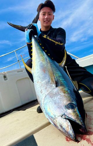 小名浜港で釣れたマグロの釣り・釣果情報 - アングラーズ | 釣果600万