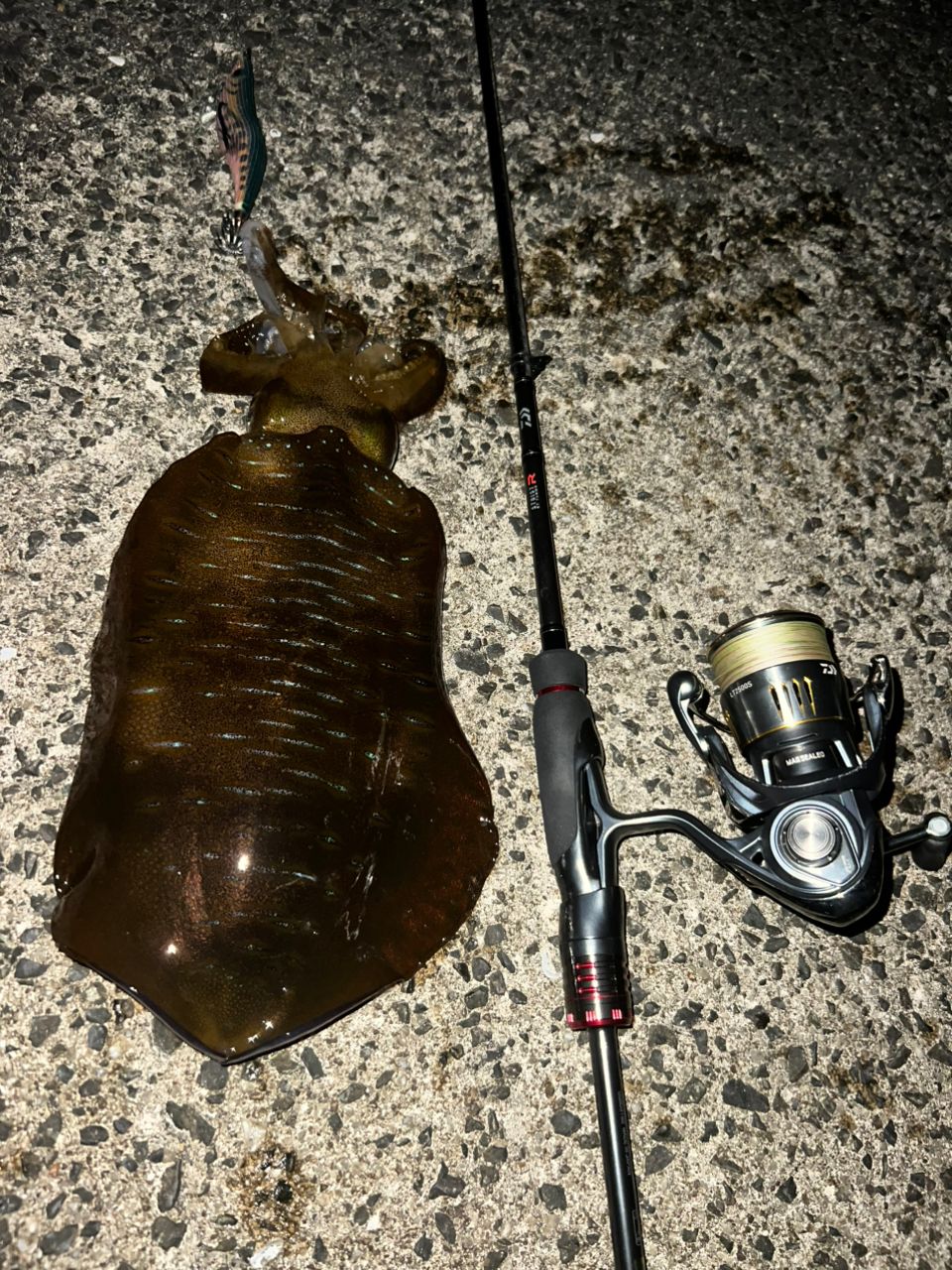 DAIWA 21エメラルダス ストイスト RT 76MMHの最安値・インプレ・釣果