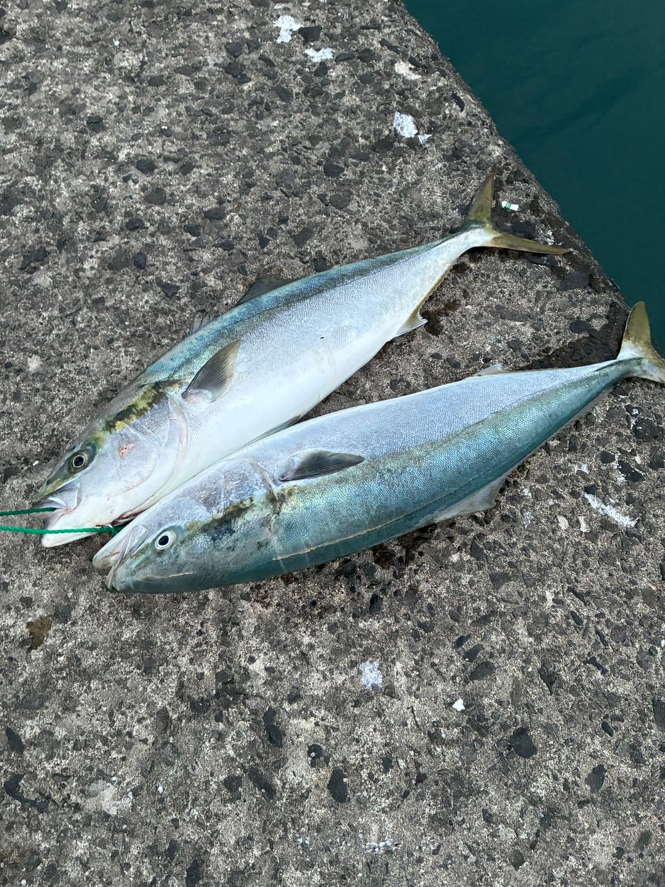 SHIMANO 19コルトスナイパー SS S106MHの最安値・インプレ・釣果