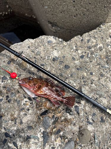 釣果