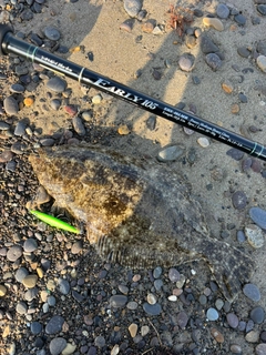 ソゲの釣果