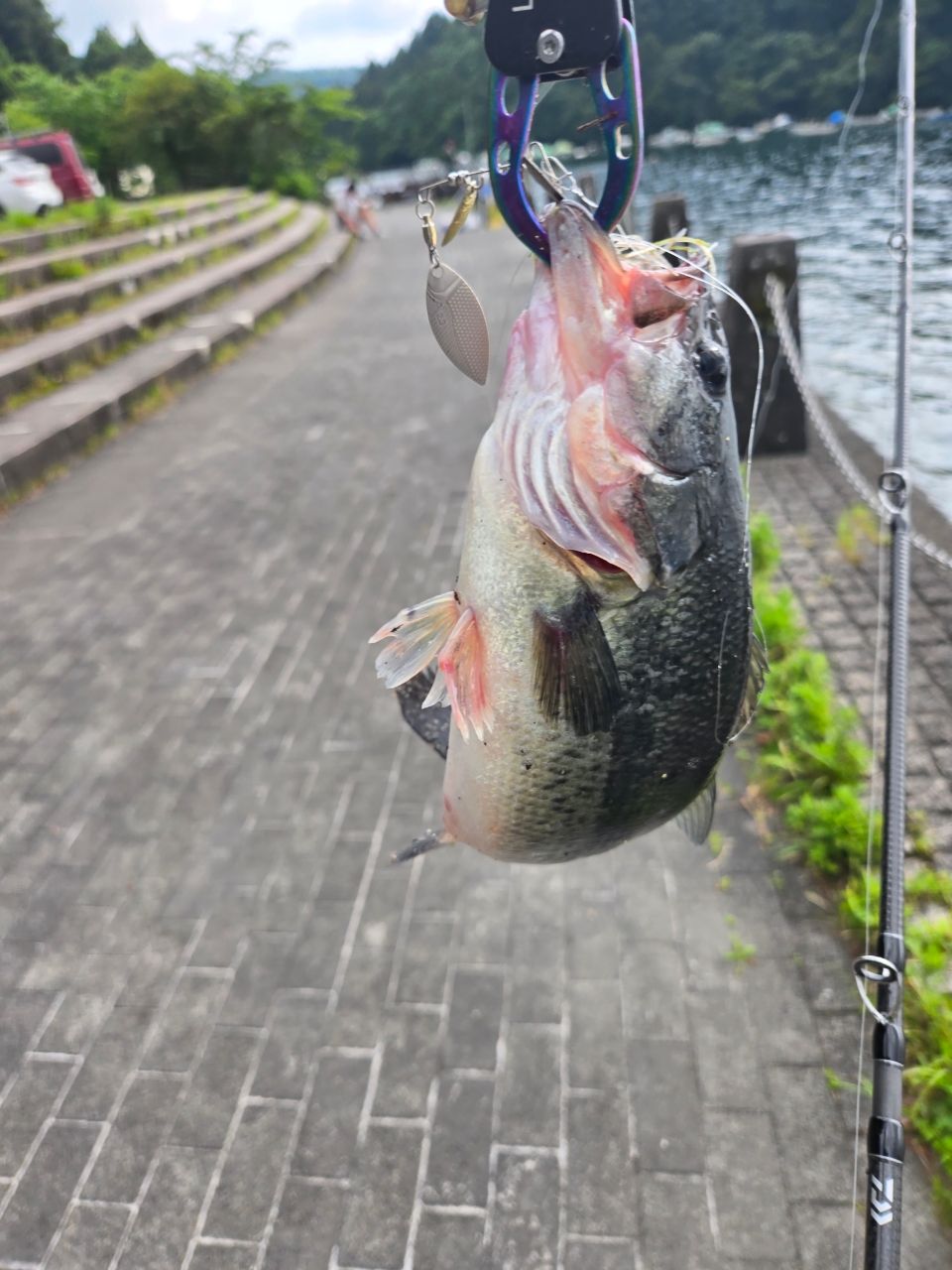 DAIWA 22ブラックレーベル トラベル C66ML-5の最安値・インプレ・釣果