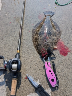 ヒラメの釣果
