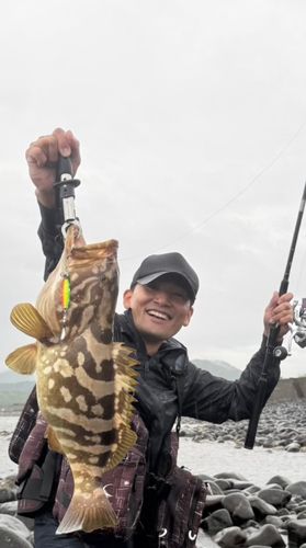 クエの釣果