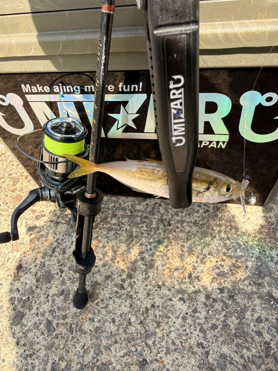 SHIMANO 19ヴァンキッシュ 1000SSSPGの最安値・インプレ・釣果 | 本音