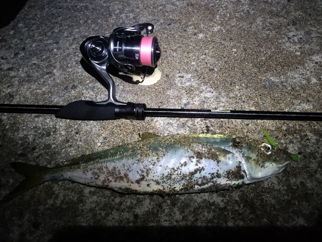 AbuGarcia ソルティーステージ KR-Xメバルカスタムの最安値・インプレ